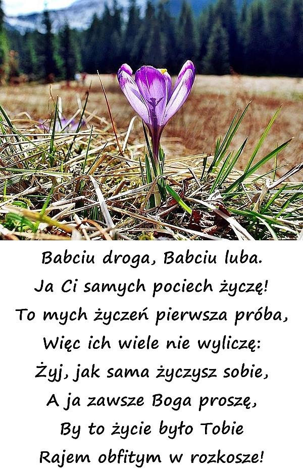 Babciu, droga, Babciu luba